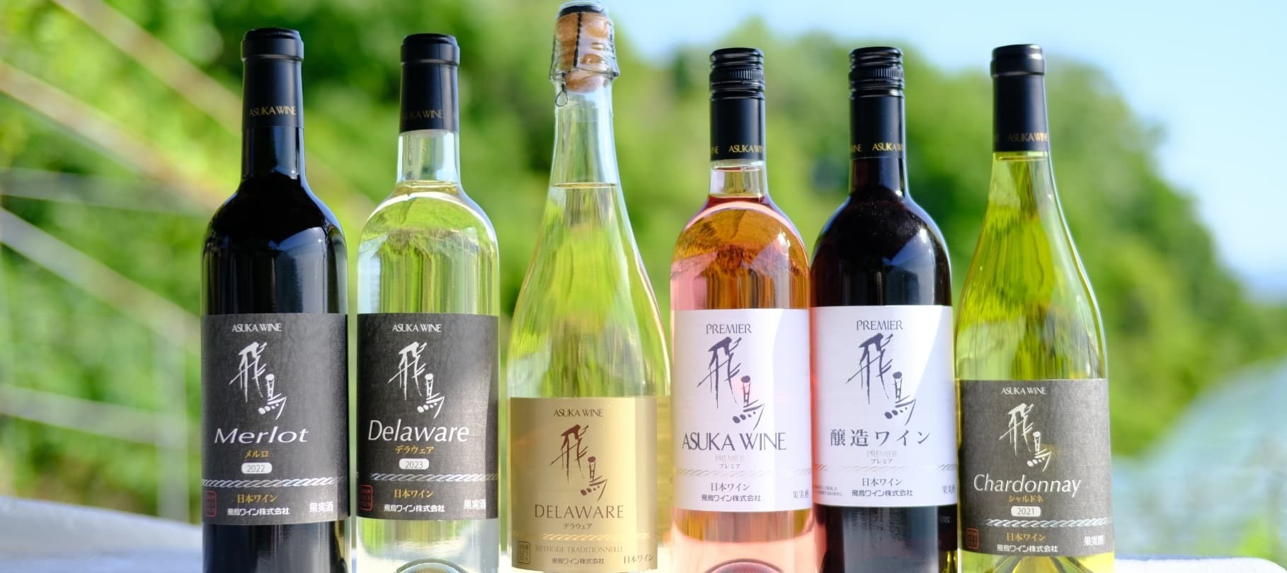 ed78536b266f52e8186c5e9c6704ac24-1773307319.jpg ed78536b266f52e8186c5e9c6704ac24-1773307319.jpg